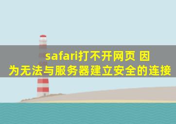 safari打不开网页 因为无法与服务器建立安全的连接